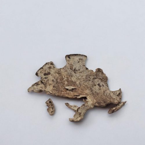 Flower pot sample, bioplastics, biodegradability test