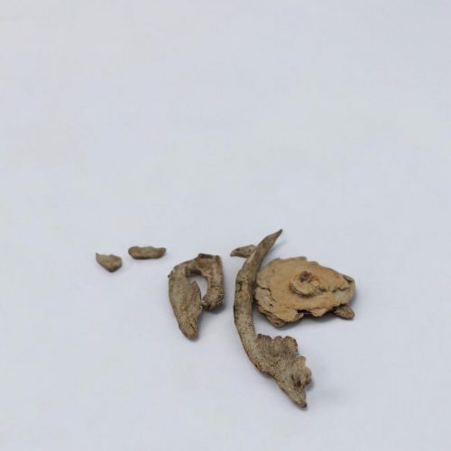 Flower pot sample, bioplastics, biodegradability test